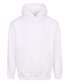 Arctic White